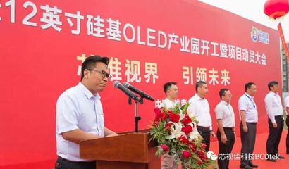 芯淮视界，引领未来 芯视佳12英寸硅基OLED产业园开工暨项目动员大会点燃新篇章